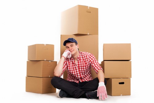Domestic relocation support with man with van in Battersea